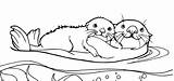 Otters Otter sketch template