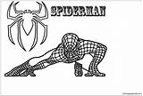 Spiderman Pages Coloring Crouching Color Online Spider Man sketch template