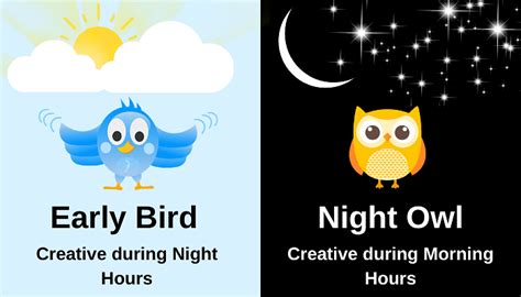 8 Differences Between Early Birds And Night Owls