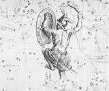 Orion Constellation Coloring Constellations Belt Delta Orionis Chandra Illustration Designlooter Uranographia 1690 Meets Eye Than Edu 430px 3kb Harvard Johannes sketch template