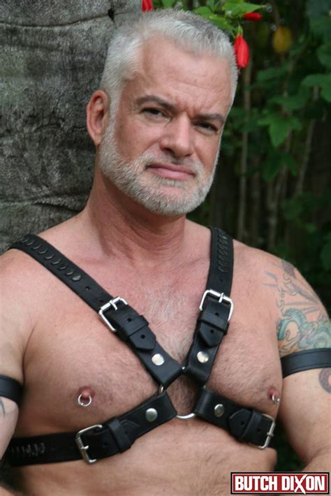 silver fox jake marshall in leather harness gaydemon