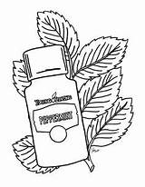 Peppermint Oils Getdrawings Shandy sketch template