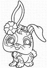 Coloriage Littlest Lapin Imprimer Petshop Mignon Trop Luxueux Stumble Bestappsforkids sketch template