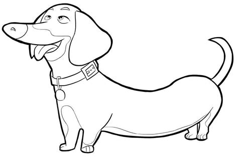 babele  printable weiner dog coloring page gif read  post