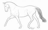Breyer Horses Coloringhome Fjord Template sketch template