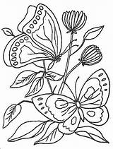 Rama Butterfly Lukisan Mewarna Bunga Hinggap Mudah Tumbuhan Tsgos Butterflies Ashgive Boleh Pokok Kupu Melukis Cikimm Colouring Borboletas Menggambar Pepatung sketch template