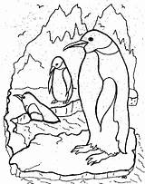Pinguini Pinguin Colorat Planse Suhu Terhadap Udara Beradaptasi Pinguinii Culoare Simpatici Acestor Atat Veseli Haideti sketch template