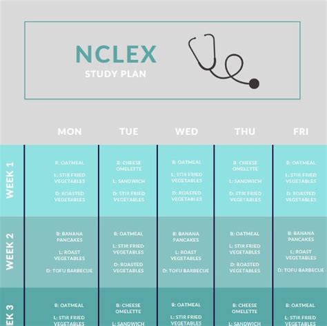 nclex study plan etsy