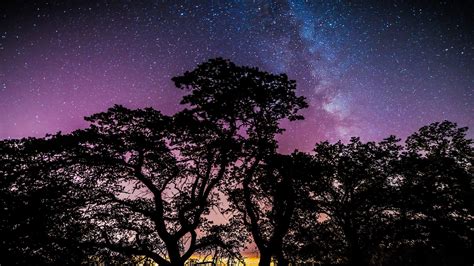 free printable stars and trees wallpaper best wallpaper