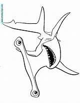 Shark Nemo Bruce Coloring Pages Template sketch template
