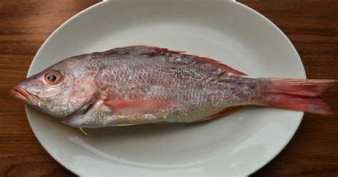 easy  delicious   cook red snapper