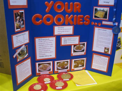 great elementary science fair project ideas