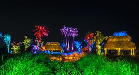 night lights   garden