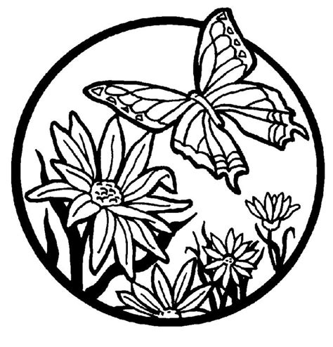 butterfly coloring pages    clipartmag