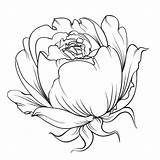 Rosebud Coloring Pages категории из раскраски все Flowers sketch template