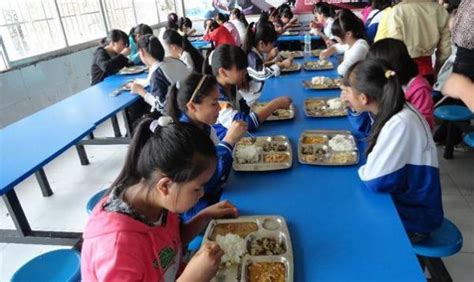 北京教委：中小学食堂不得供应凉菜现榨饮料 食品 食堂 凉菜 新浪新闻