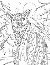 Owl Getcolorings Intricate Wanderjobs sketch template