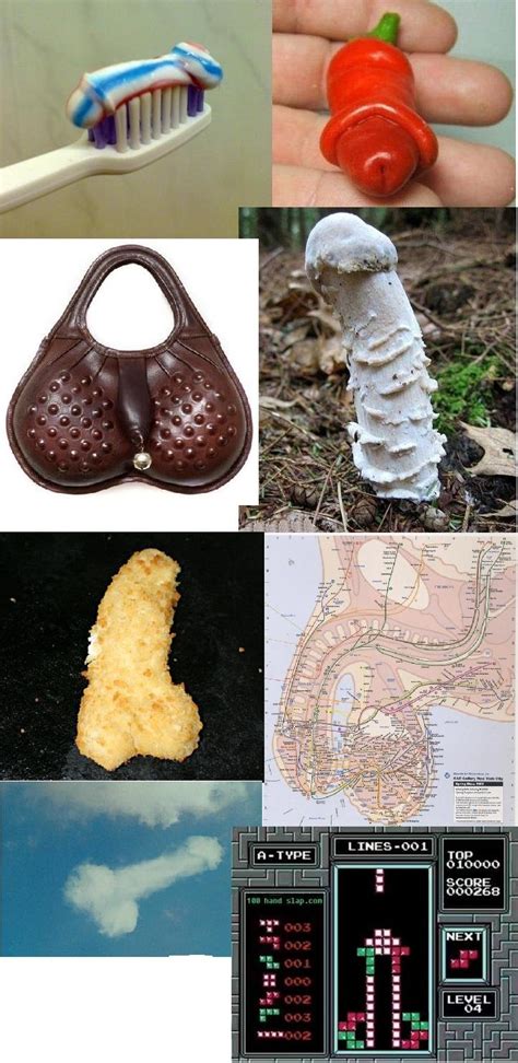 things that look like penis