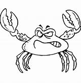 Crab Fiddler Caranguejos sketch template