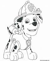 Paw Patrol Coloring Marshall Pages Drawing Printable Colouring Sheets Draw Sky Print Color Colorare Da Birthday Template Sheet Kids Mewarnai sketch template