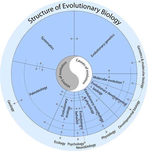Evolutionary Biology Evolutionary Biology Human Sexuality