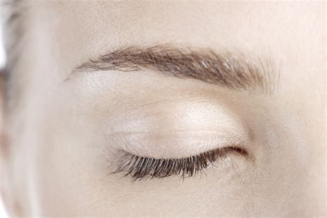 eyelid functions  common disorders