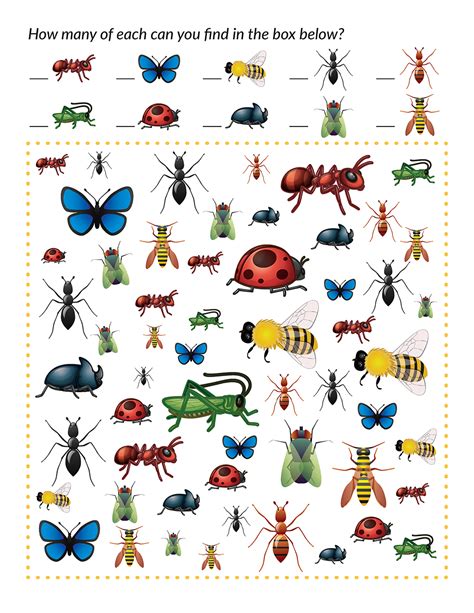 insects  spy gift  curiosity