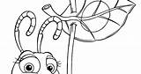 Coloring Pages Little Bugs sketch template