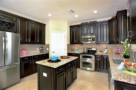 tampa  homes ryland homes  kitchen cabinets home kitchens