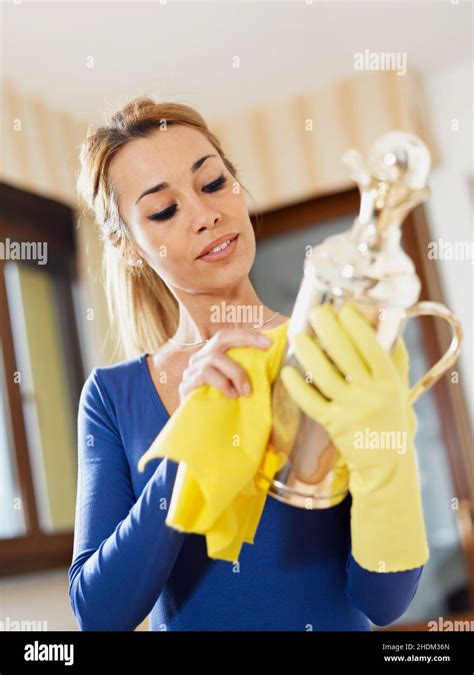 Cleaning House Work Cleaning Lady Polishing Clean Up Purgation