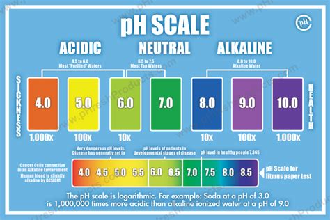 What Is Your Ph