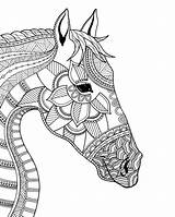 Horse Mandala Coloring Kleurplaten Pages Colouring Volwassenen Doodle Illustration Paarden Canvas Animal Dieren Voor Kleurboeken Tekeningen Horses Head Choose Board sketch template