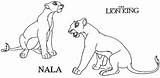 Lion Nala Coloring Pages King Cub Adult Colouring Simba Getcolorings Az Color Print Popular sketch template