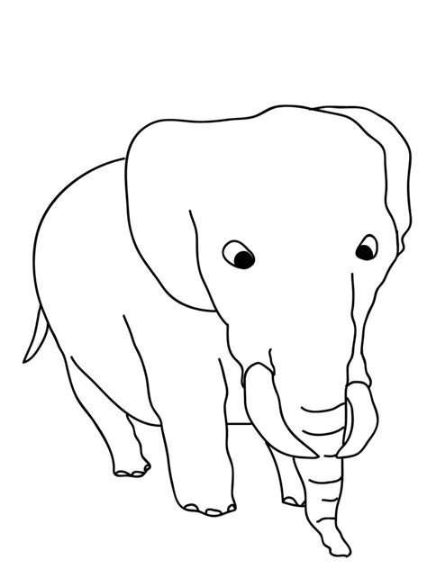 coloring pages  elephant animal place
