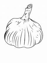 Vegetables Garlic Coloring sketch template