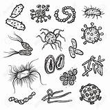 Microbe Bacteria sketch template