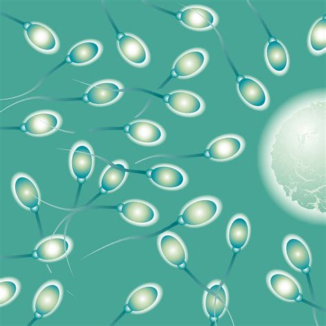 Sperm Abstraction Abstract Bokeh Life Sex Sexual