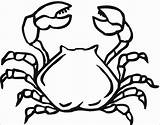 Crab Coloring Pages Printable Hermit Christmas Kids Template Coloringbay Turtle sketch template