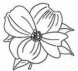 Dogwood Clipart Flower Coloring Virginia Drawing Carolina North Tree State Clip Pages Blossoms Flowering Branch Flowers States Template Clipground Blossom sketch template