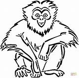 Gibbon Coloring Sitting Pages Drawing Cartoon Printable Apes Supercoloring Gibbons Handed Lar Color Categories sketch template