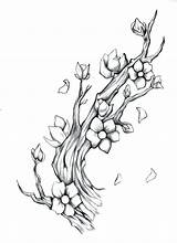 Japanese Blossoms Branches sketch template