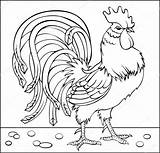 Rooster Drawing Coloring Vector Stock Illustration Drawings Fight Developing Skills Children Chicken Pages Pencil Animal Bird Getdrawings Painting Colouring Books sketch template
