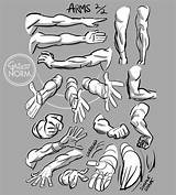 Arm Anatomy Grizandnorm Foreshortening Griz Norm Volumes Instagram Comic Lagret Gesture sketch template