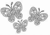 Disegni Colorare Farfalle Bambini Dell Primavera Fiore Leggimiancora Degli Impariamo Cose Bellissimi Cielo Tatuaggio sketch template