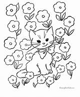 Coloring Pages Cat Flowers sketch template
