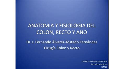 Anatomía Y Fisiología Del Colon Recto Y Ano Udocz
