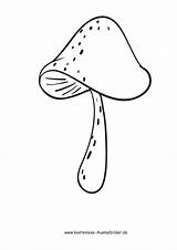 Pilz Ausmalbilder Ausmalbild Gemuese Malvorlage Malvorlagen Ausdrucken Lebensmittel Vorlage Gemüse sketch template