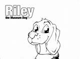 Riley Coloring Dog Museum Mfa sketch template
