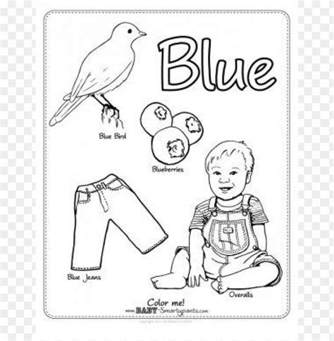 hd png blue color pages preschool coloring png