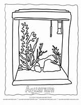 Aquarium Coloringhome Ausmalbild sketch template